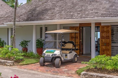 Luxury Villa Photo #3