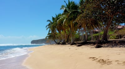 Luxury Villa Photo #11
