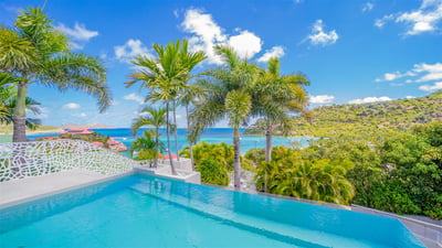 Luxury Villa Photo #6