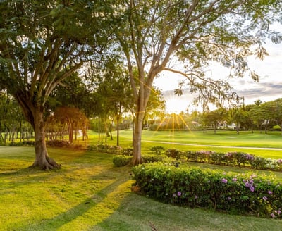 Luxury Villa Photo #13