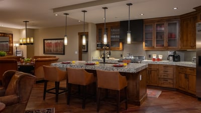 Gourmet renovated kitchen