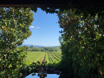 Luxury Villa Photo #20