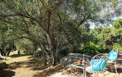 Luxury Villa Photo #6