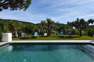 Luxury Villa Photo #3