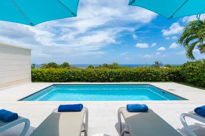 Luxury Villa Photo #3