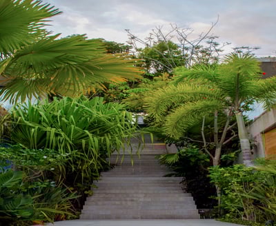 Luxury Villa Photo #54