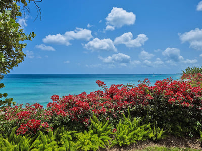 Luxury Villa Photo #9
