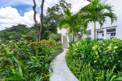 Luxury Villa Photo #33