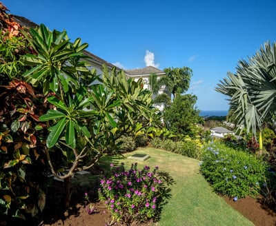 Luxury Villa Photo #18