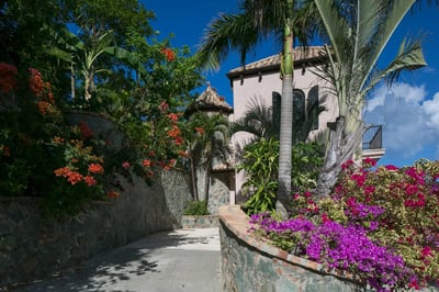 Luxury Villa Photo #43