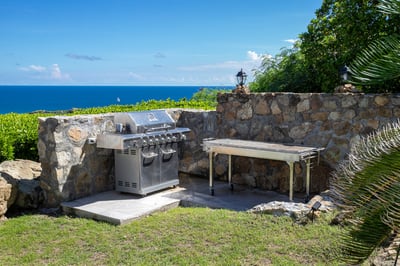 Luxury Villa Photo #6