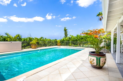 Luxury Villa Photo #2