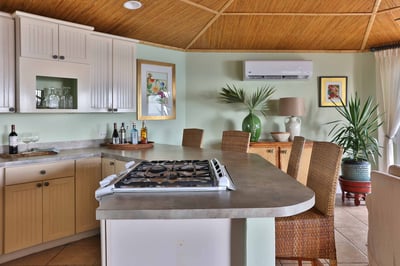 Luxury Villa Photo #8