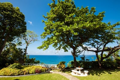 Luxury Villa Photo #7