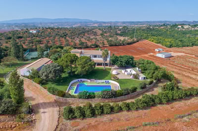 Luxury Villa Photo #4