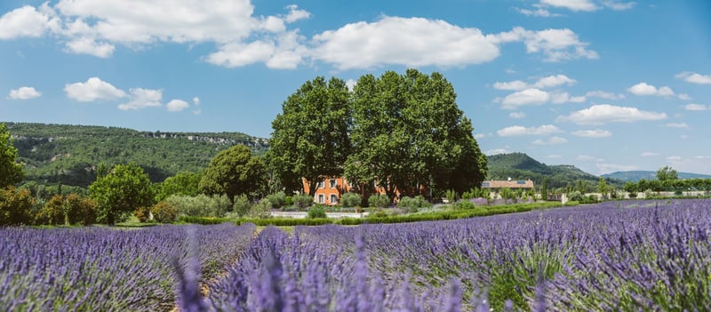 Bastide de St. Martin