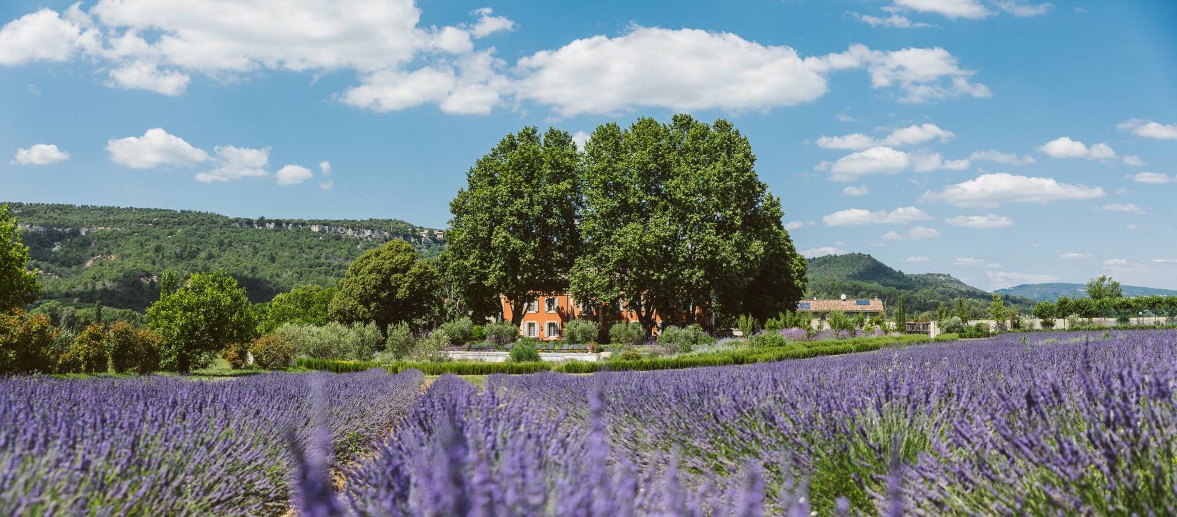 Bastide de St. Martin - 51