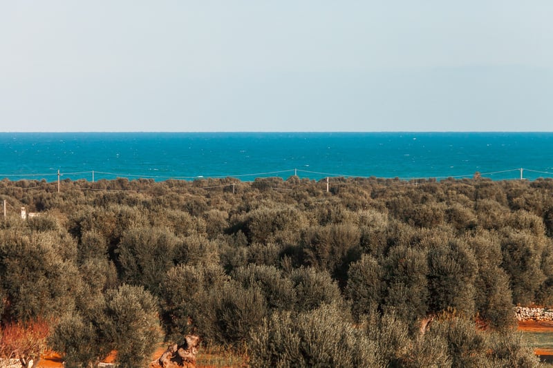 La Residenza Pettolecchia