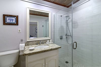 Luxury Villa Photo #19