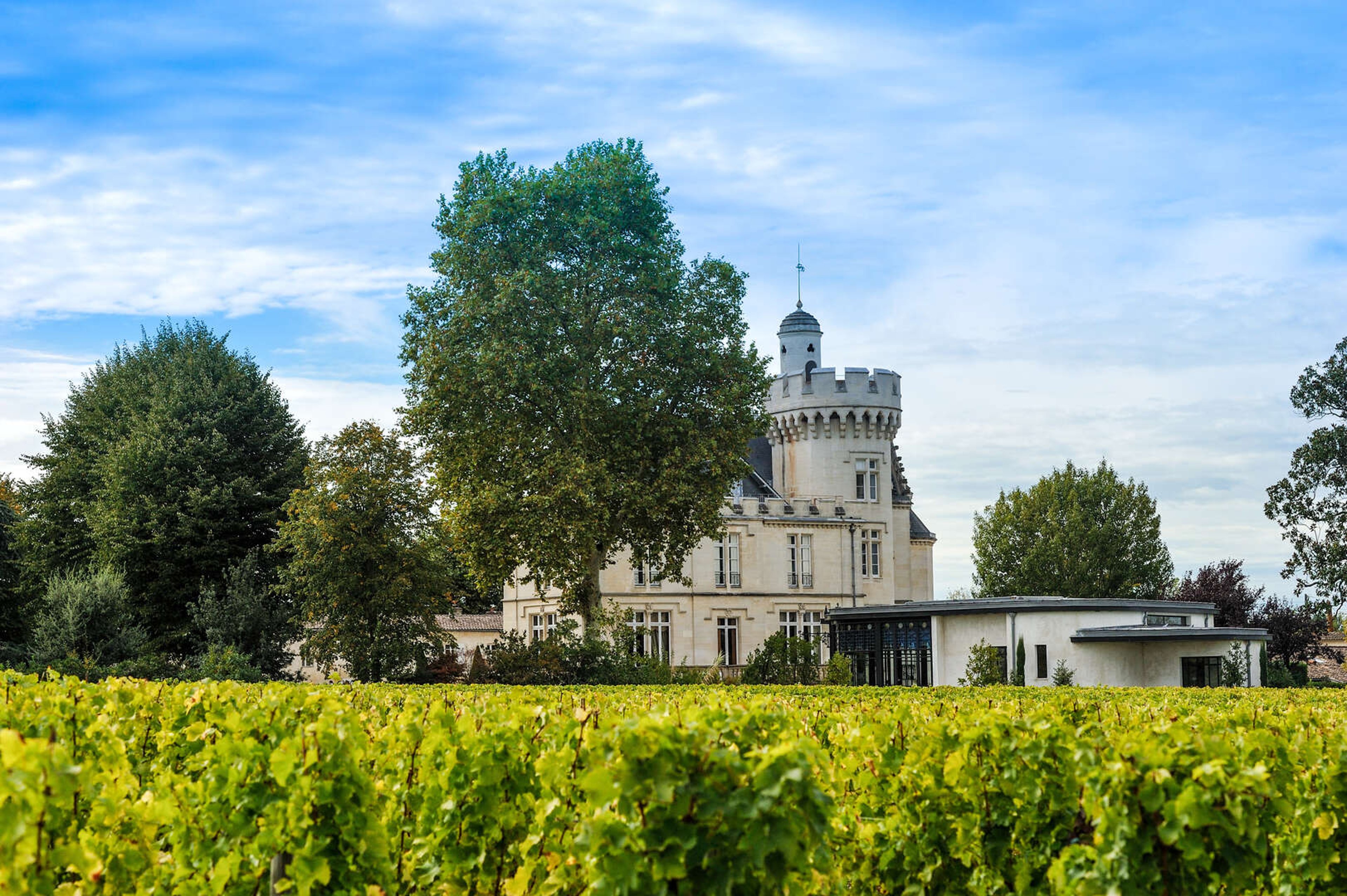 Chateau Pessac - 39