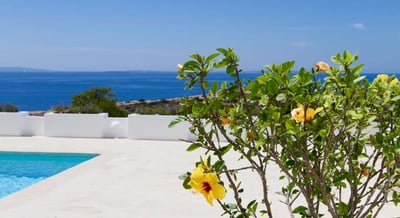 Luxury Villa Photo #8
