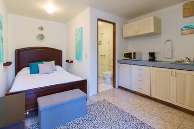 Courtyard Casita; #8 Suite – Queen Bed, Ensuite Bathroom, AC, Kitchenette