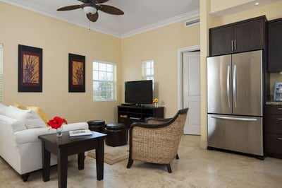 Luxury Villa Photo #3
