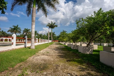 Luxury Villa Photo #14