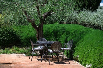 Luxury Villa Photo #13