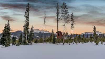 Mountain views from the backyard