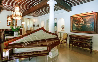 Luxury Villa Photo #16