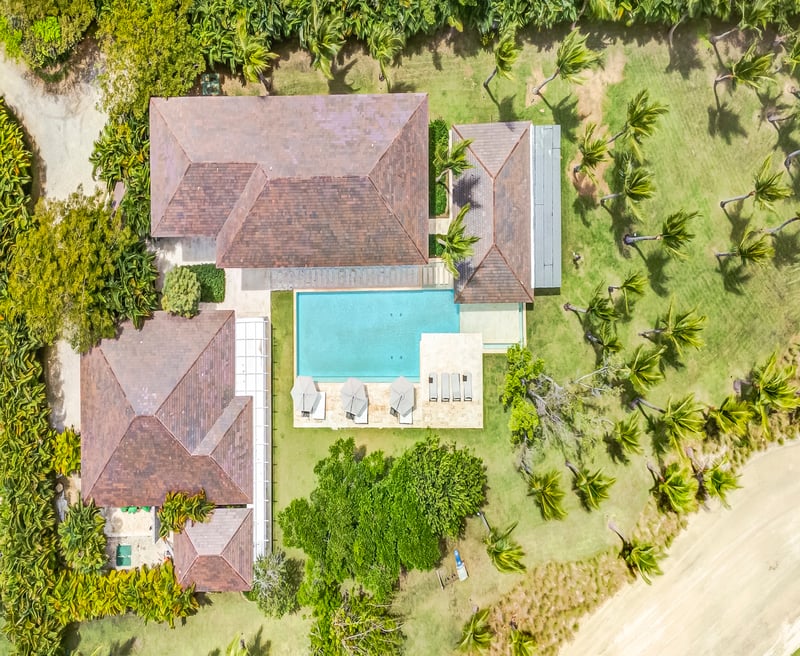 Arrecife 53 | Mandala