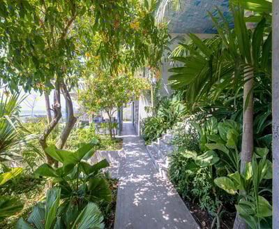 Luxury Villa Photo #56