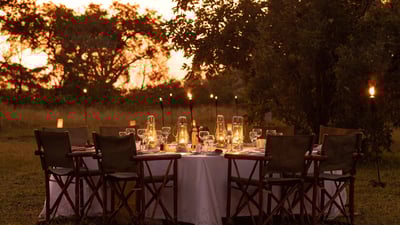 Bush Dining