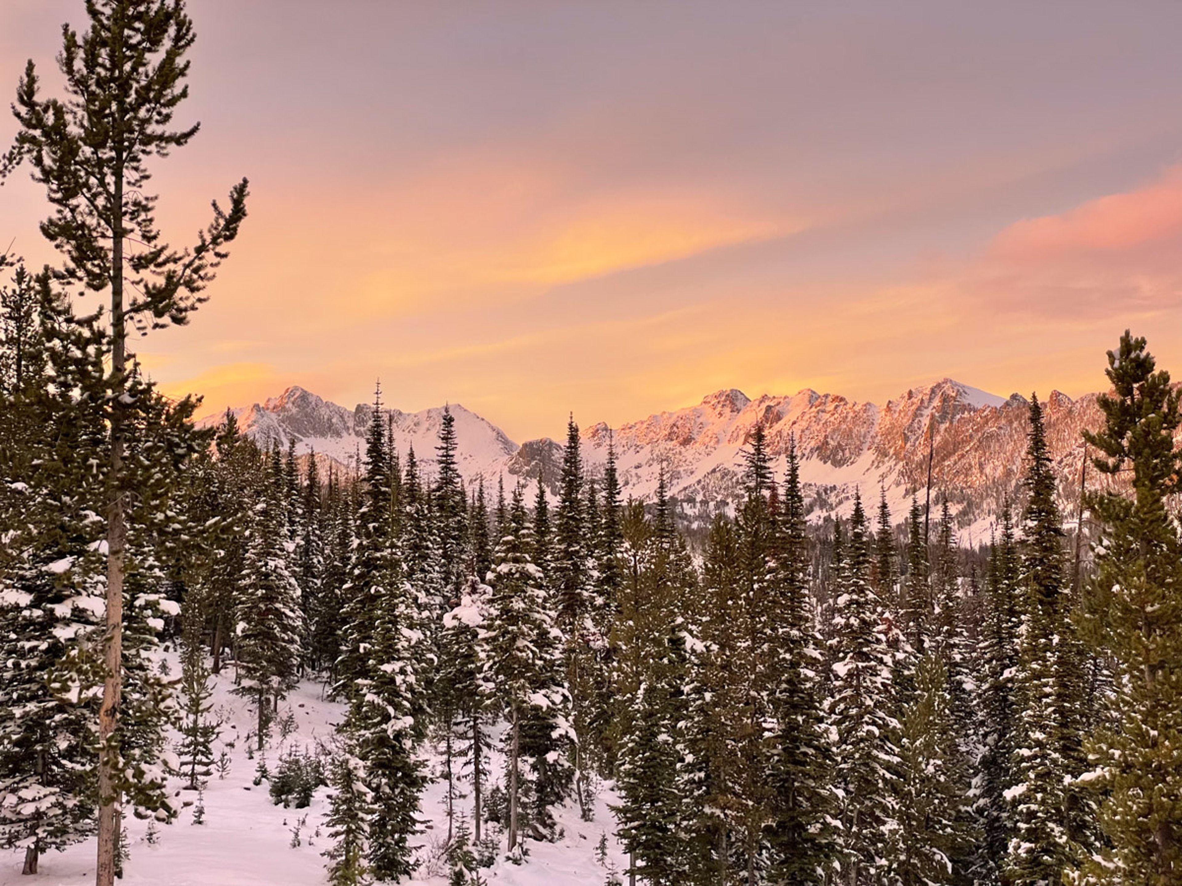 Fire Lookout Towers | Beehive Peak View - 33