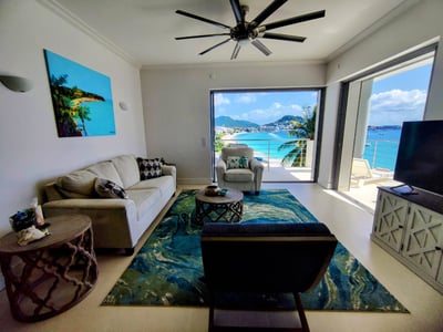 Luxury Villa Photo #6