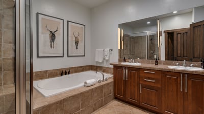 Lower level king ensuite