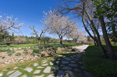 Luxury Villa Photo #4