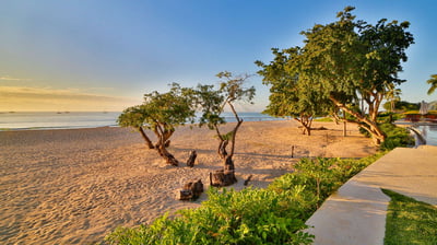 Luxury Villa Photo #35