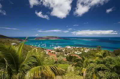 Luxury Villa Photo #28