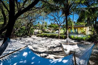 Relaxation and hammocks included!