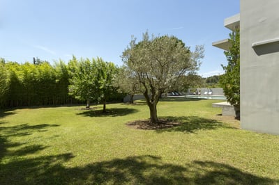 Luxury Villa Photo #10