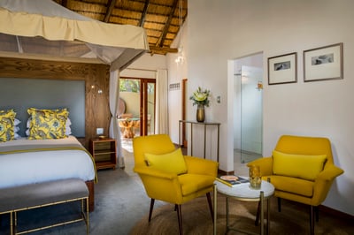 Safari Suite