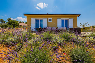 Luxury Villa Photo #11