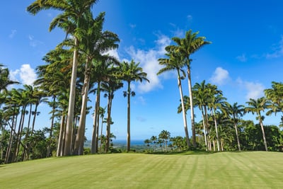 Luxury Villa Photo #48