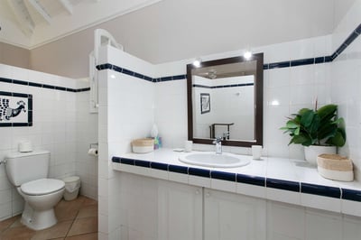 Luxury Villa Photo #30