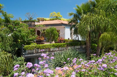 Luxury Villa Photo #11