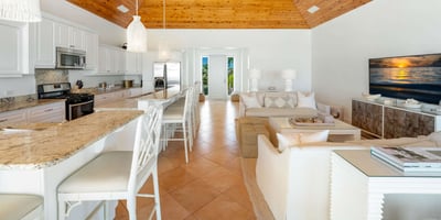 Luxury Villa Photo #21