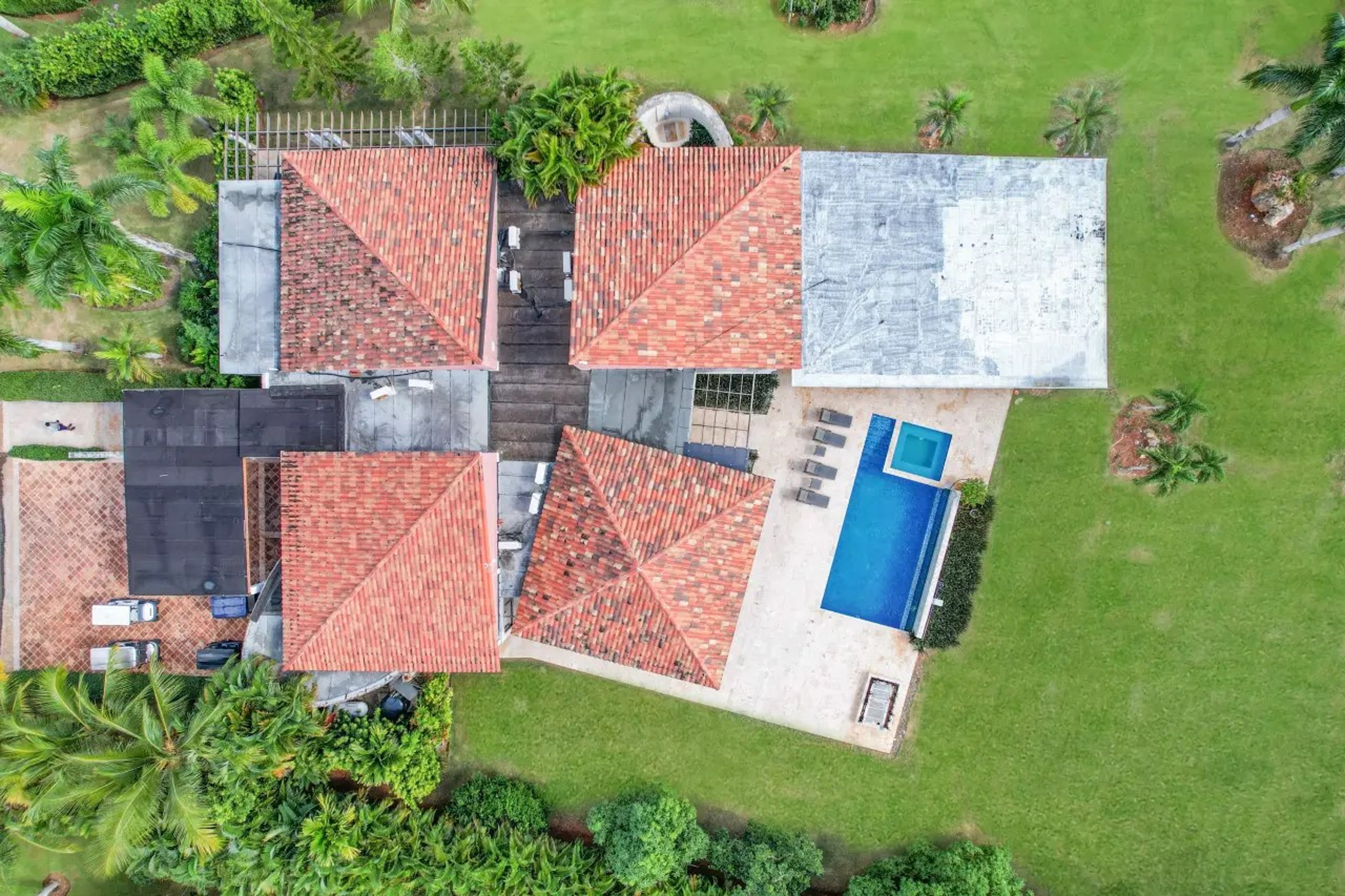 Tropical Paradise - 2