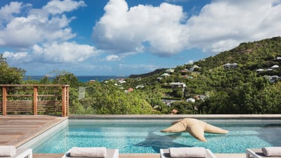 Luxury Villa Photo #3